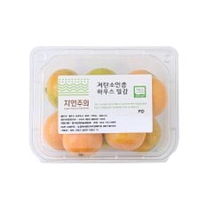 저탄소인증 하우스 감귤 500g/팩