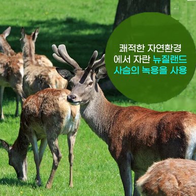 김오곤 녹용홍삼보 국산6년근홍삼 홈쇼핑 녹용 홍삼진액 홍삼비타 골드