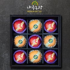 [나주농장] 수려한4호 과일혼합 선물세트(3.5kg내외)(사과+배)