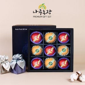 [나주농장] 수려한4호 과일혼합 선물세트(3.5kg내외)(사과+배)