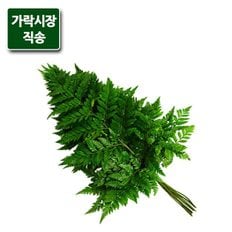 팸쿡 가락시장직송 노무라 1단(7-8개)
