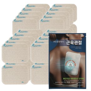 생활 운동 전문 패치 파스 40매외 2종 국내제조 바이오 쿨 히트 오운완