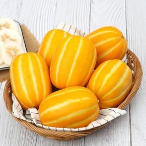 고당도 맛보장 성주 꿀 참외 성주참외 가정용/중소과 5kg(15-25과) 실중량