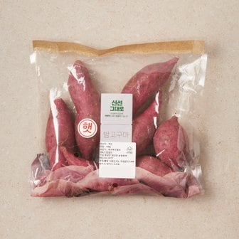  햇 밤고구마 (700g)