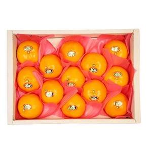 [대진작목반] 제주 천혜향 선물세트 5kg(18-22과) / 실중량