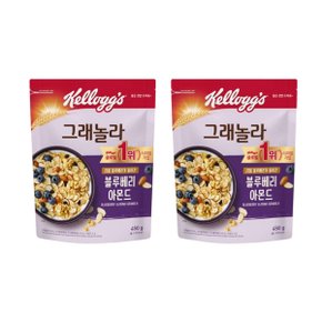 켈로그 블루베리 아몬드 그래놀라 450g x 2