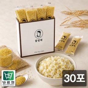 잡곡맛집 전라도 함평댁 찰기장 간편스틱 소포장 (20g x 30포) 바르겟