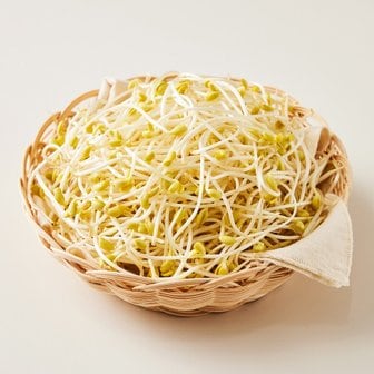 마이프레시 무농약 콩나물 1kg