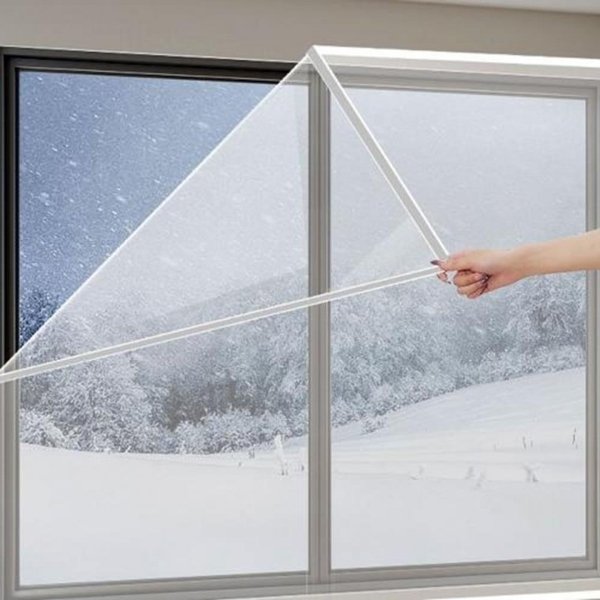 확대된 대표 image1
