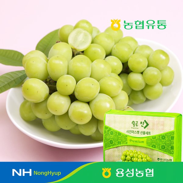 확대된 대표 대표이미지