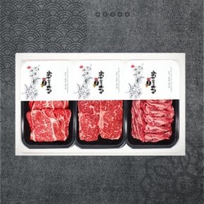 [바로배송]1등급 한우 구이 선물세트 900g [등심+채끝+갈비살]-각300g