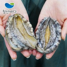 [9/6(금)순차출고][청산바다] 완도 활전복 대복 10-12미 1.5kg (약 15-18마리) (선물포장가능)