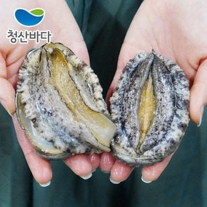 [9/6(금)순차출고][청산바다] 완도 활전복 대복 10-12미 1.5kg (약 15-18마리) (선물포장가능)