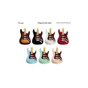 Fender 펜더 픽가드 11-HOLE MODERN-STYLE STRATOCASTER S PICKGUARDS TORTOISE