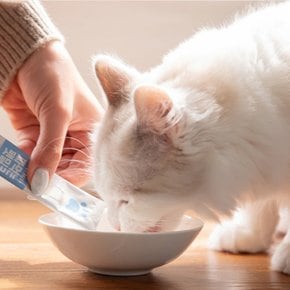 건국우유 랩솔루션 짜먹는 펫밀크 파우치 (12g x 5개) 강아지 고양이 영양 간식