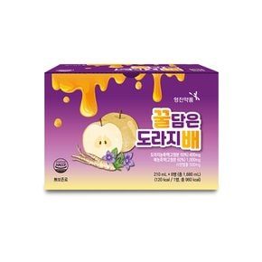 [영진] 꿀담은 도라지배 210ml x 8병 총1박스