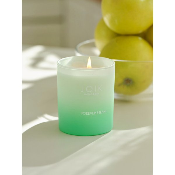 노르딕 비건 캔들 150g (프레쉬 / 허브향 3종)