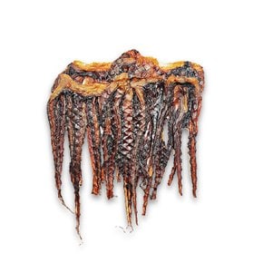 오징어 망족 문어발 대왕발 200g, 1개