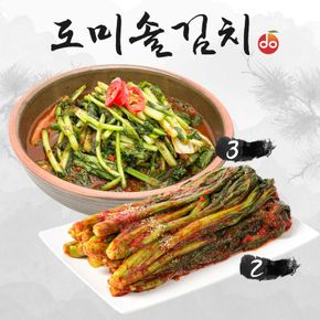 도미솔 맛있는 열무김치 3kg+갓김치 2kg(총 5kg)[34151322]