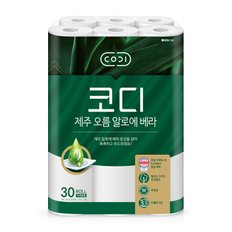 제주 오름 알로에 베라 30*30