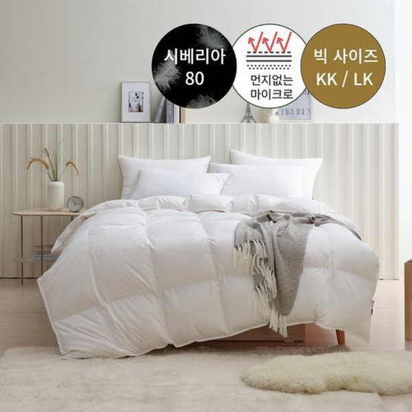 확대된 대표 상품이미지1