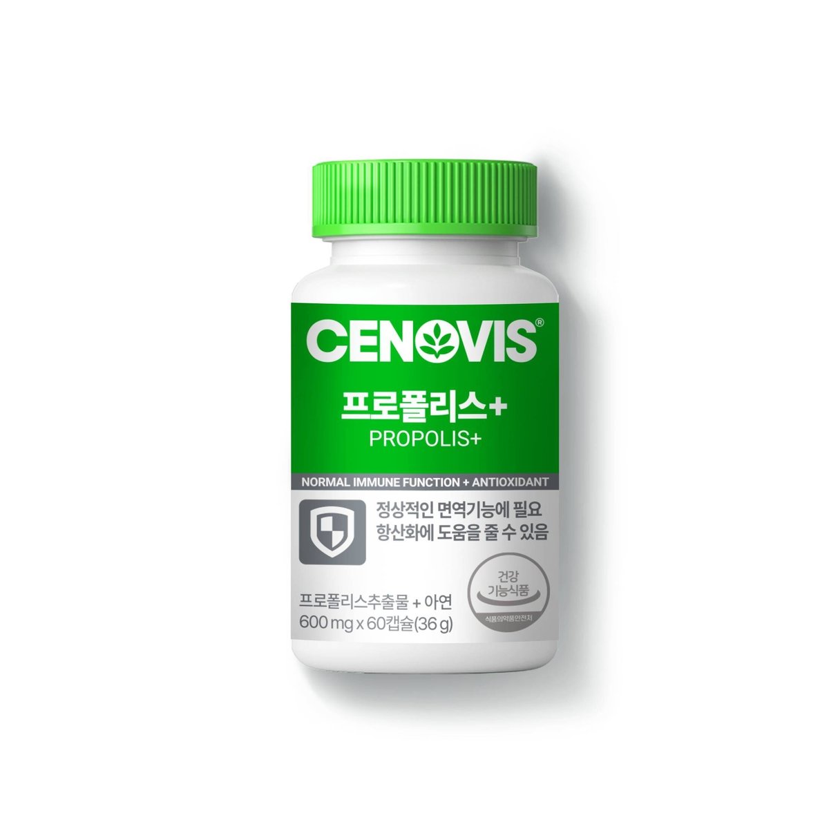 확대된 대표 이미지 P