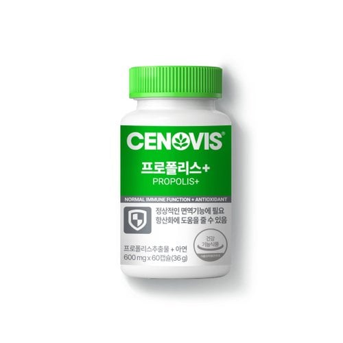 이미지 P