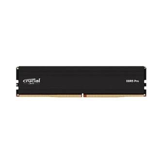 에스투씨엔아이 마이크론 Crucial DDR5-5600 CL46 PRO 패키지 대원씨티에스 (16GB)