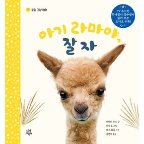 아기 라마야 잘자 : (꿀잠 그림책 4) 양장