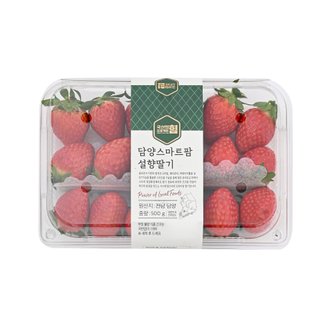  [국산의 힘] 담양 스마트팜 설향딸기 500g/팩 (특)