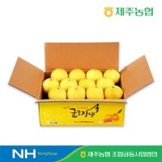 제주농협 귤로장생 황금향 4kg 로얄과(12-19입)