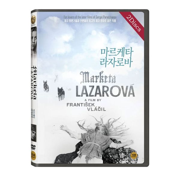 확대된 대표 대표이미지