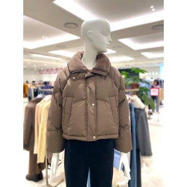 ZOOC 니트카라 구스다운 숏 패딩 Z244PSG183