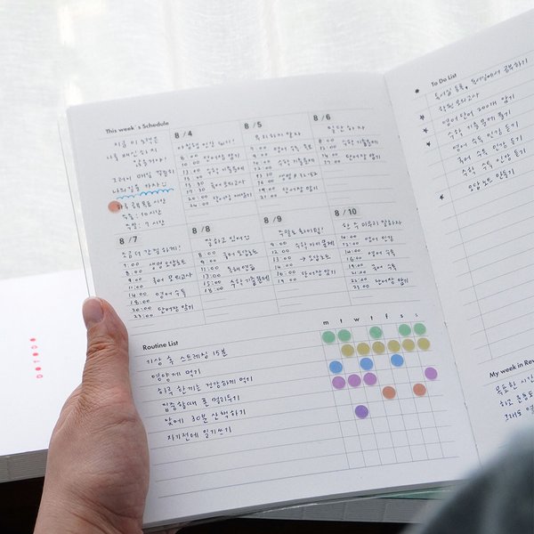 확대된 대표 대표이미지