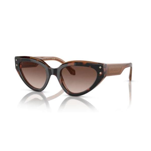 확대된 대표 불가리 선글라스 0BV8256 BROWN
