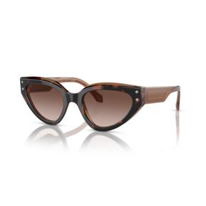 25SS 불가리 선글라스 0BV8256 BROWN