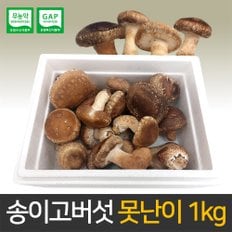 [산지직송] 송이고버섯 못난이 버섯 1kg 당일수확