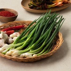 깐쪽파 (150g/봉)