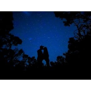 페더데일 동물원 & 블루마운틴 선셋+별밤 투어