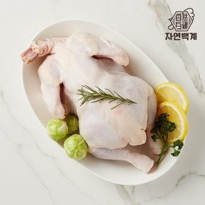 [정기배송가능]자연백계 국내산 생닭 1kg x 2팩 (백숙용)