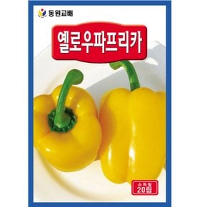 옐로우 파프리카씨앗 20립 피망씨앗