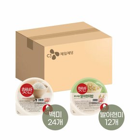 햇반 210g x24개+발아현미밥 210g x12개