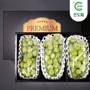 경북 김천 고당도 샤인머스캣 선물세트 3kg 3수