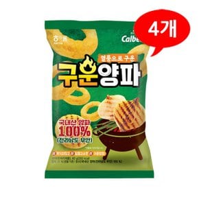 (7200623) 열풍으로 구운 양파 60gx4개