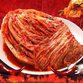 중부식 미친 실비김치 5kg (2단계) 매운김치 불김치