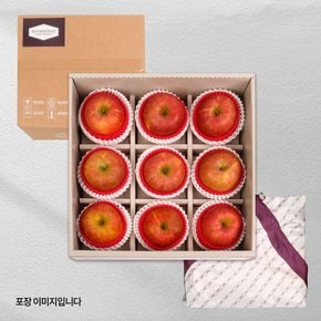 [9/22일 오전10시 주문마감][신세계 오늘의과일]프리미엄 고당도사과3kg (사과 9입)_신세계보자기&외피박스