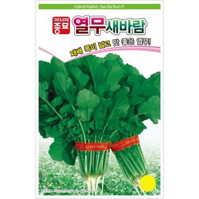 열무씨앗종자 새바람 열무 (20g)