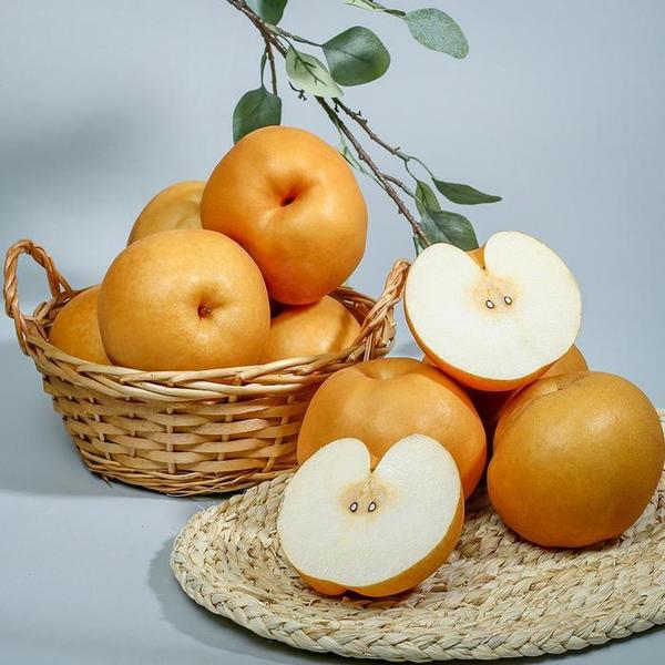 확대된 대표 신고배 신고 배 가정용 7.5kg(8-10과) (상) 나주배(1)