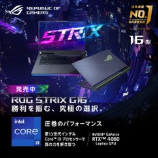 ASUS 게이밍 노트북 PC ROG Strix G16 G614JV 16형 RTX 4060 Core i9-1