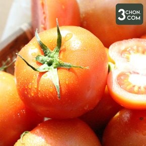 신선가득 새콤달콤한 국내산 완숙토마토  2kg